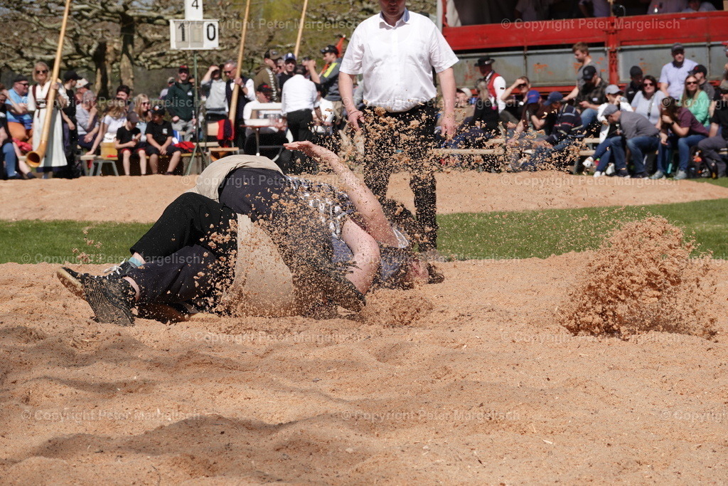 DSC02336 | Schwingen - Realisiert mit Pictrs.com