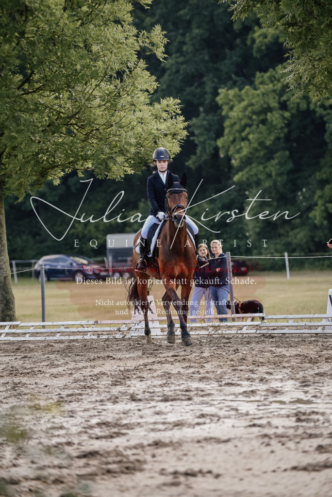 DSC_7962 | Pferde- und Turnierfotografie in Westsachsen. Pferdeportraits, Auftragszeichnungen und intuitive Kunst.