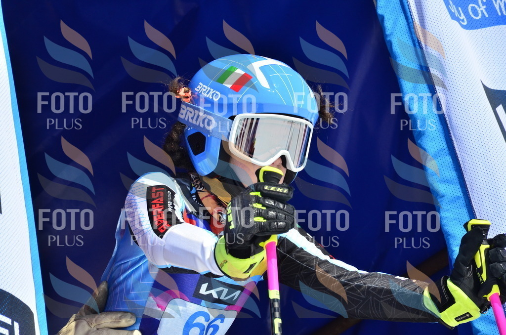 _ELE0281 | holidayphoto