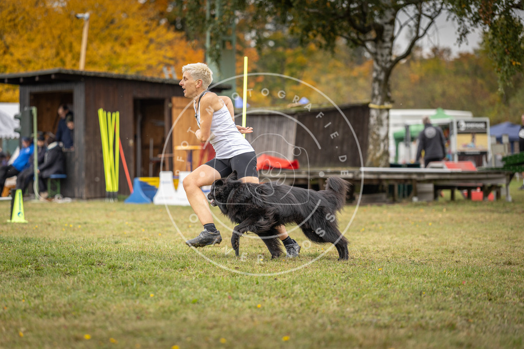 Pfotenfotografie_DV3A6287 | Hundefotografie, Tierfotograf, Pfotenfotografie, Fotoshooting Hund, Hunde Portrait, Hundesport, Hundeportraits, Heideshooting, Hunde, Sportfotograf, Hundefotograf, Turnierhundsport, THS,  - Realisiert mit Pictrs.com
