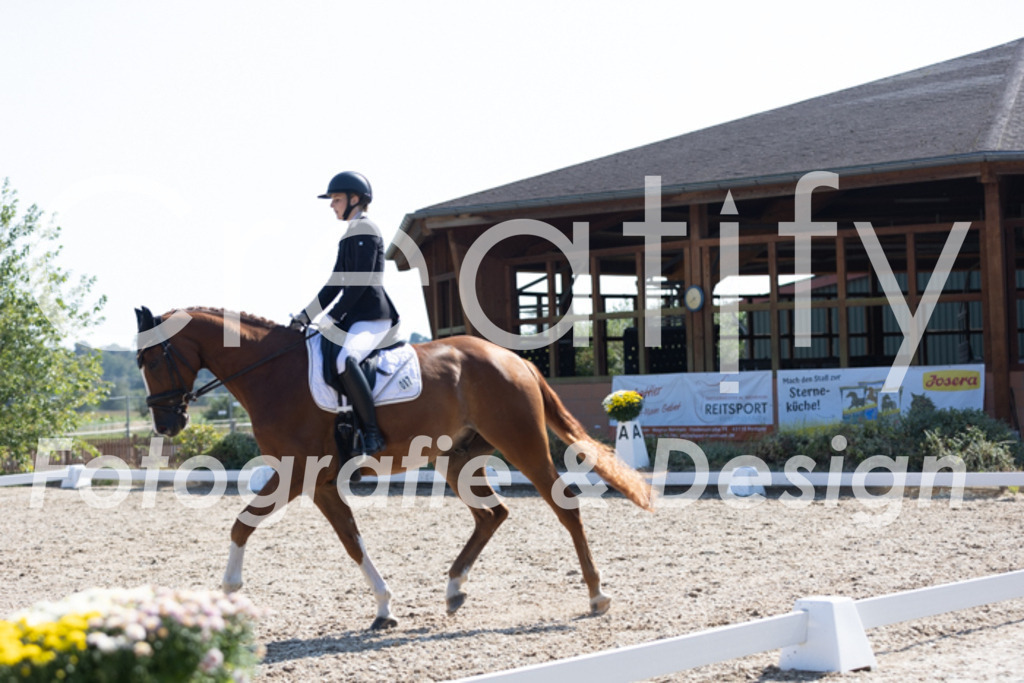 IMG_4348 | Creatify Fotografie