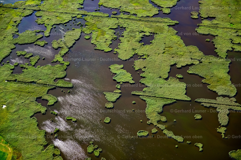 3637378 | Spreewald Unesco-Biosphärenreservat, LüBBEN (SPREEWALD) 25.08.2016 Feuchtgebiet bei Lübben (Spreewald) im Bundesland Brandenburg. // Wet area near Luebben (Spreewald) in the state Brandenburg. Foto: Gerhard Launer