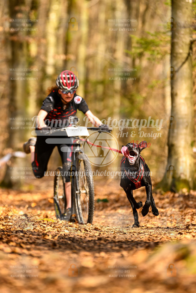 MompixPhotography_Habay2025_SA_SCO-20 | PayLife