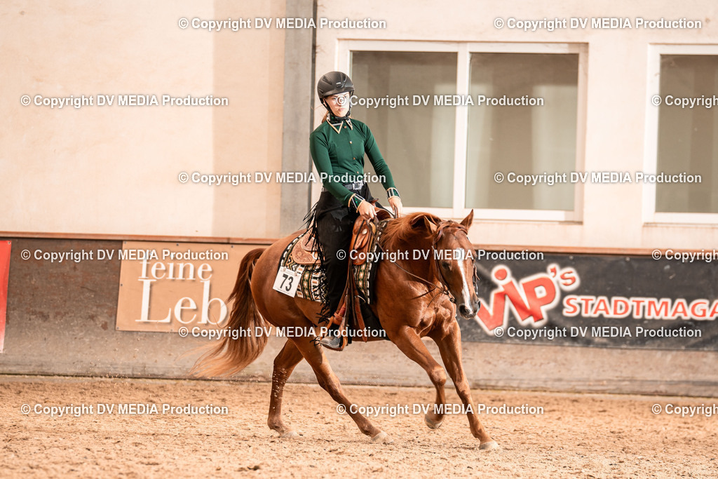 LM Heiligenwald Tag 2-1097 | dv-media-shop - Realisiert mit Pictrs.com