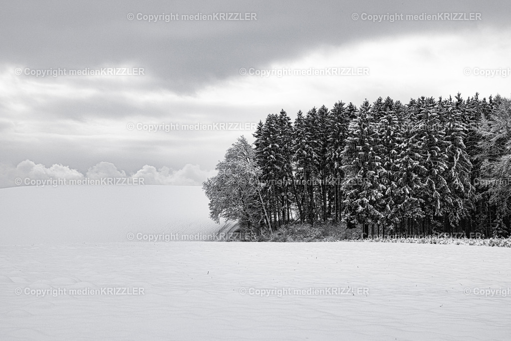 _J3A9494 | medienkrizzler - Realisiert mit Pictrs.com