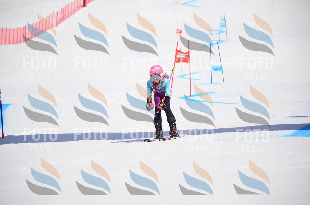 VR4_9897 | holidayphoto