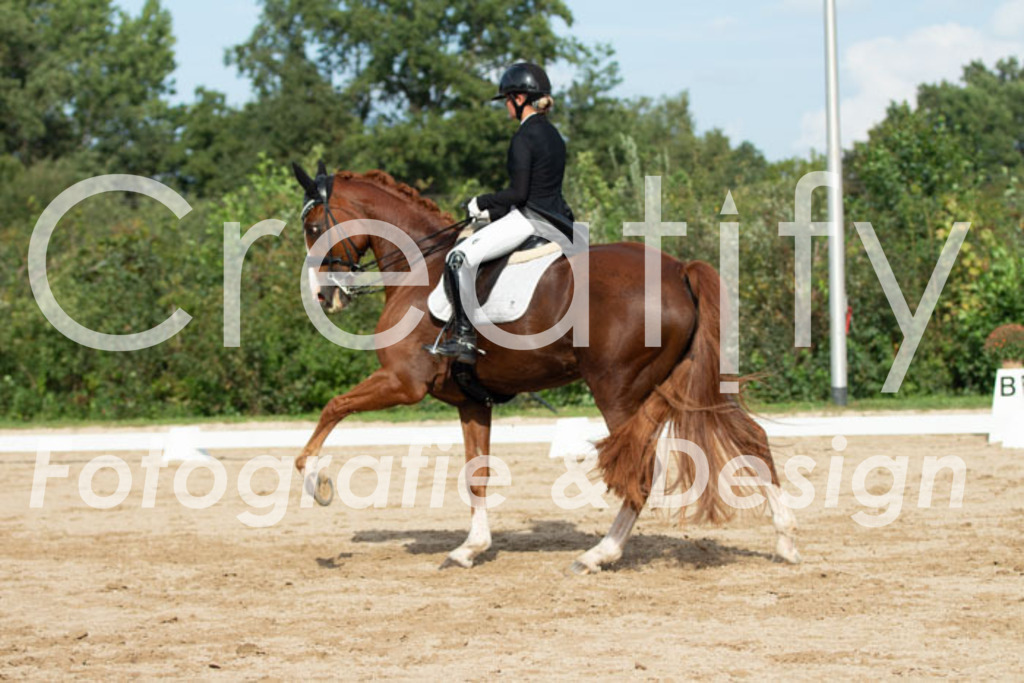 IMG_4287 | Creatify Fotografie