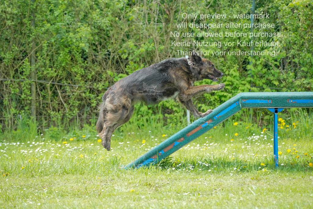 Sa_Laeufe_VK1und2_06-49 | stephaniefillaphotographie - Realisiert mit Pictrs.com