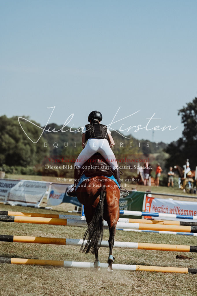 DSC_9976 | Pferde- und Turnierfotografie in Westsachsen. Pferdeportraits, Auftragszeichnungen und intuitive Kunst.