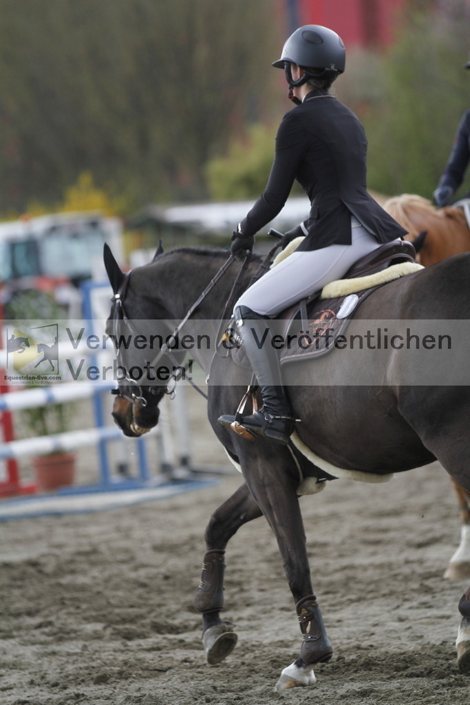 _MG_8454 | equestrian-live-com