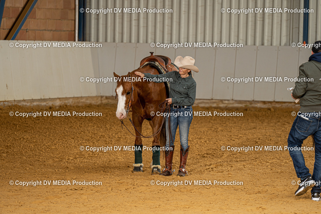 MIT00126 | dv-media-shop - Realisiert mit Pictrs.com