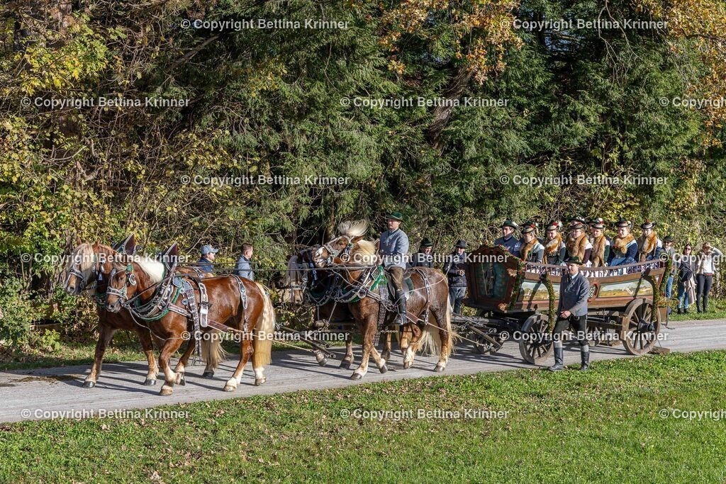 LBT24-492 | foto-bettina-krinner - Realisiert mit Pictrs.com