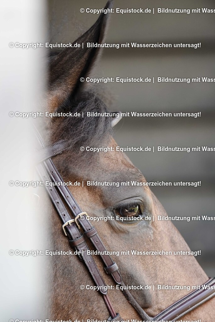 20250608_16_Quali-GP_Hess-Min-Präs_0232 | Foto: Thomas Hartig