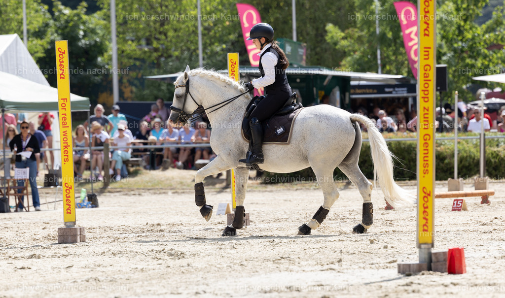 WM_YR_Speed_133_KerstinBernhardt | working equitationturnier fotograf videograf stoibphotography marixx film working equitation deutschland reitsport turnierfotografie eventfotografie equestrian events