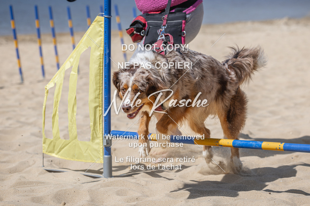 nelerasche_saBeachility_681 | nelerasche