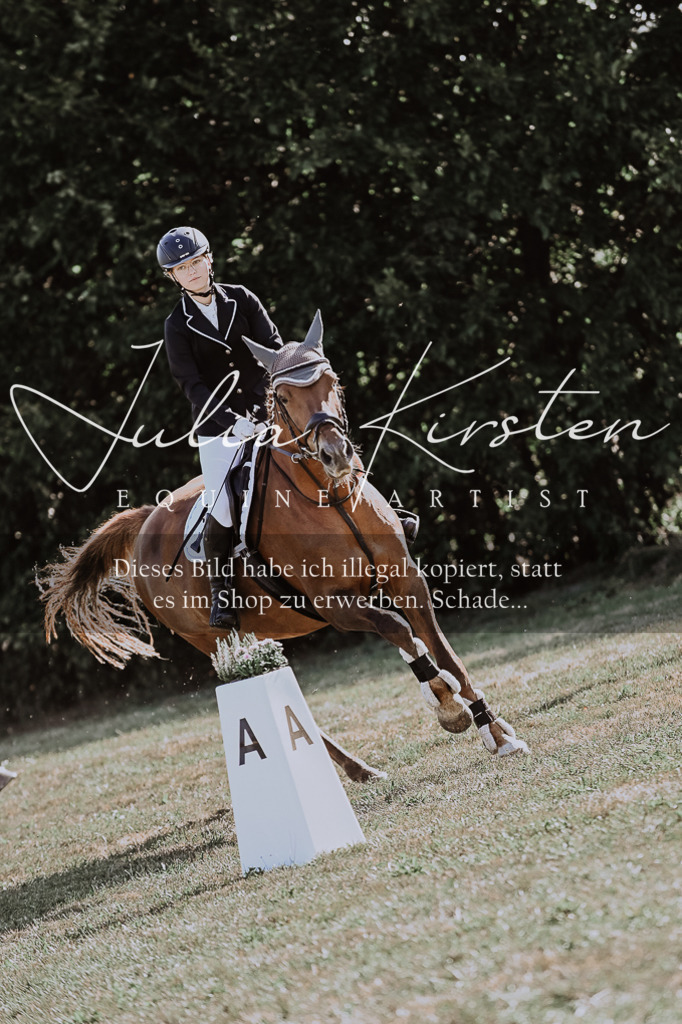 DSC_9533 | Pferde- und Turnierfotografie in Westsachsen. Pferdeportraits, Auftragszeichnungen und intuitive Kunst.