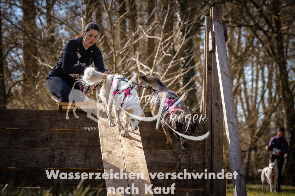 0907_ZZ93732 | kk-dogfotos
