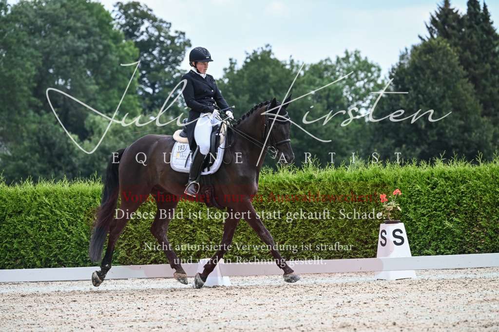 DSC_2512 | Pferde- und Turnierfotografie in Westsachsen. Pferdeportraits, Auftragszeichnungen und intuitive Kunst.