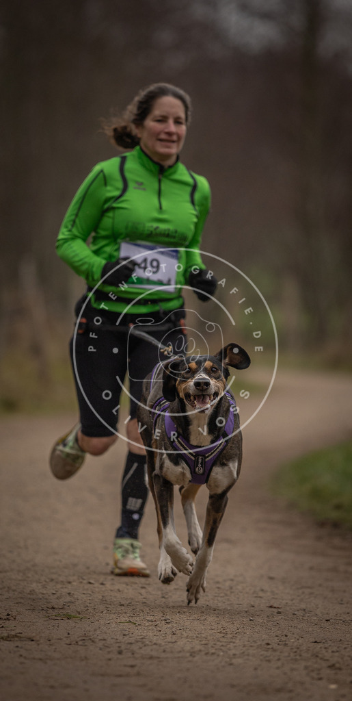 Pfotenfotografie_DV3A2786 | Hundefotografie, Tierfotograf, Pfotenfotografie, Fotoshooting Hund, Hunde Portrait, Hundesport, Hundeportraits, Heideshooting, Hunde, Sportfotograf, Hundefotograf, Turnierhundsport, THS,  - Realisiert mit Pictrs.com