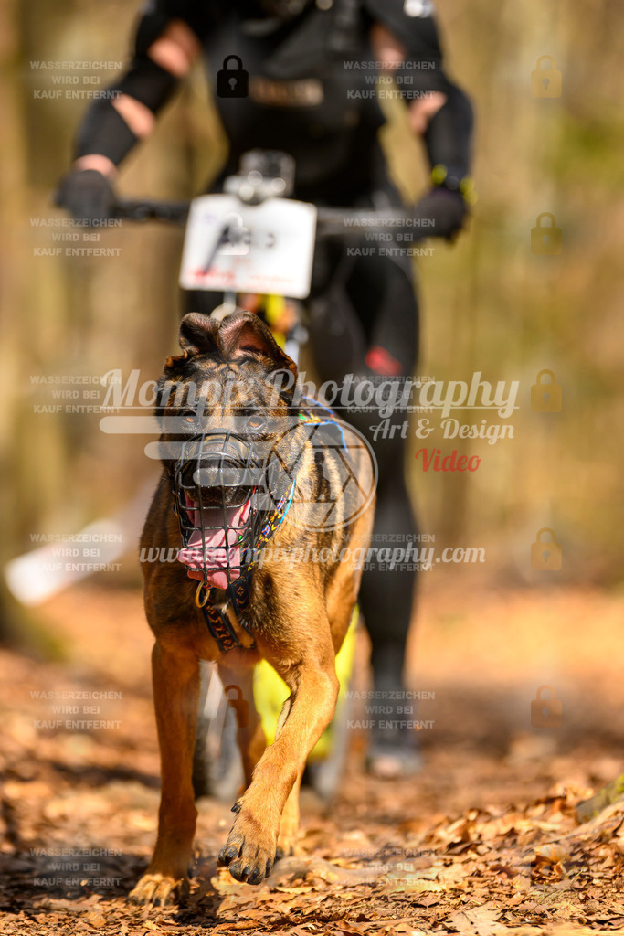 MompixPhotography_Habay2025_SA_SCO-70 | PayLife