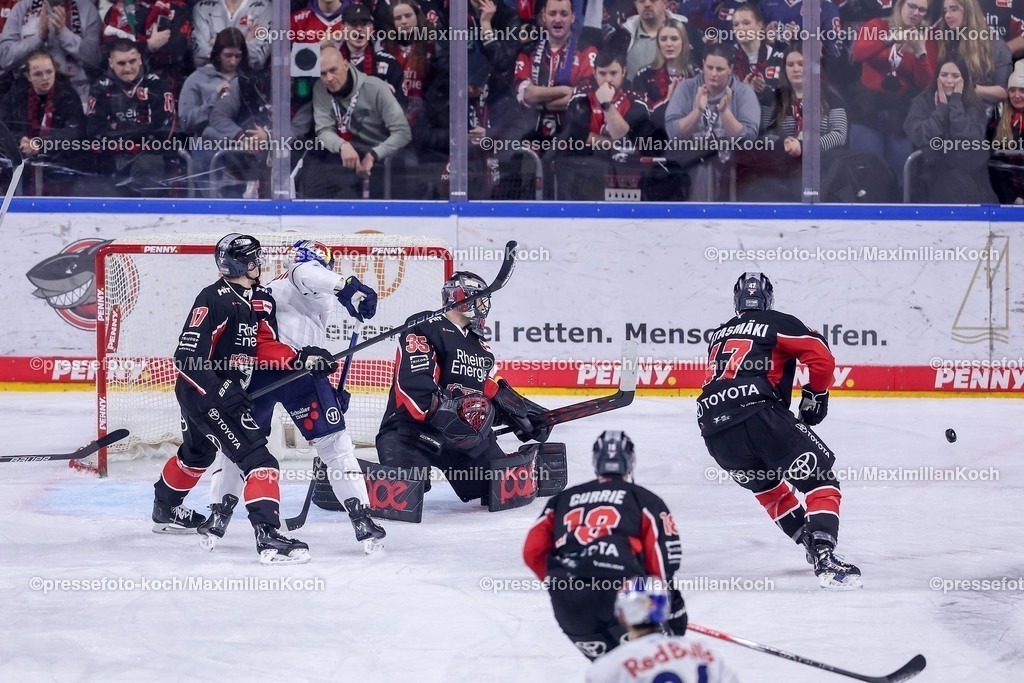 KEC28012501013 | 28.01.2025, Eishockey, DEL, Kölner Haie - EHC Red Bull München, Spieltag 41, Lanxess-Arena Köln: Spielszene vor dem Kölner Tor
