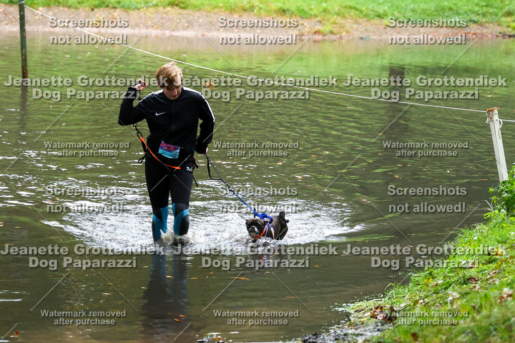 Dog Paparazzi -  SD1026-8479 | Dog Paparazzi Jeanette Grottendiek Fotografie & Videografie - Realisiert mit Pictrs.com