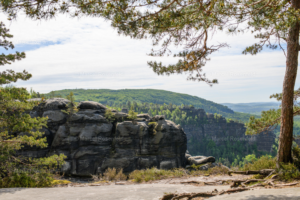 _DSC4961 | foto-rosenfeld