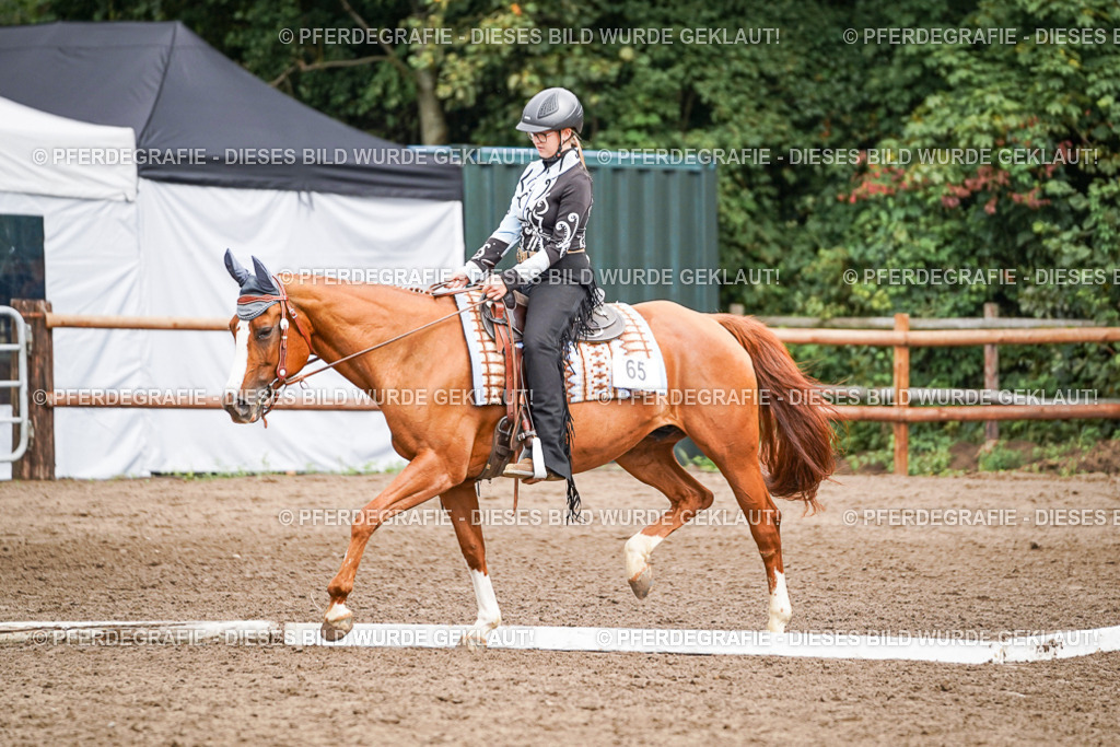 DSC04190 | Pferdegrafie