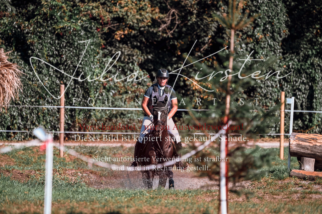 DSC_0596 | Pferde- und Turnierfotografie in Westsachsen. Pferdeportraits, Auftragszeichnungen und intuitive Kunst.