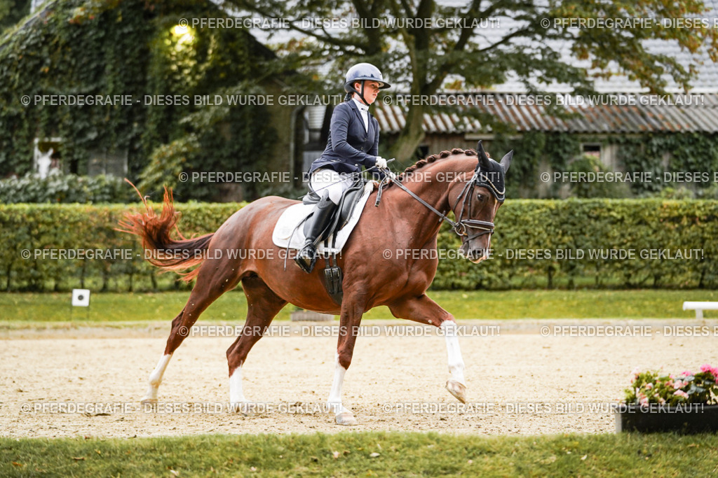 DSC06923 | Pferdegrafie