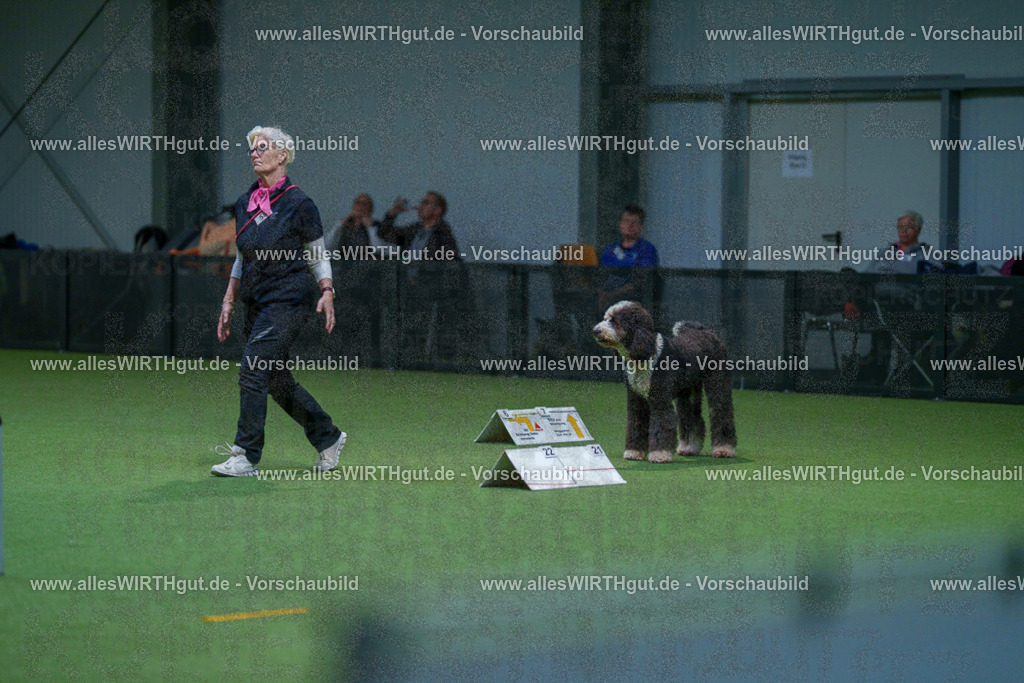 7R502689 | Professionelle Tierfotografie in Mönchengladbach von Daniel Wirth (allesWIRTHgut). Liebevolle & natürliche Bilder von Hunden & Katzen für unvergessliche Erinnerungen.