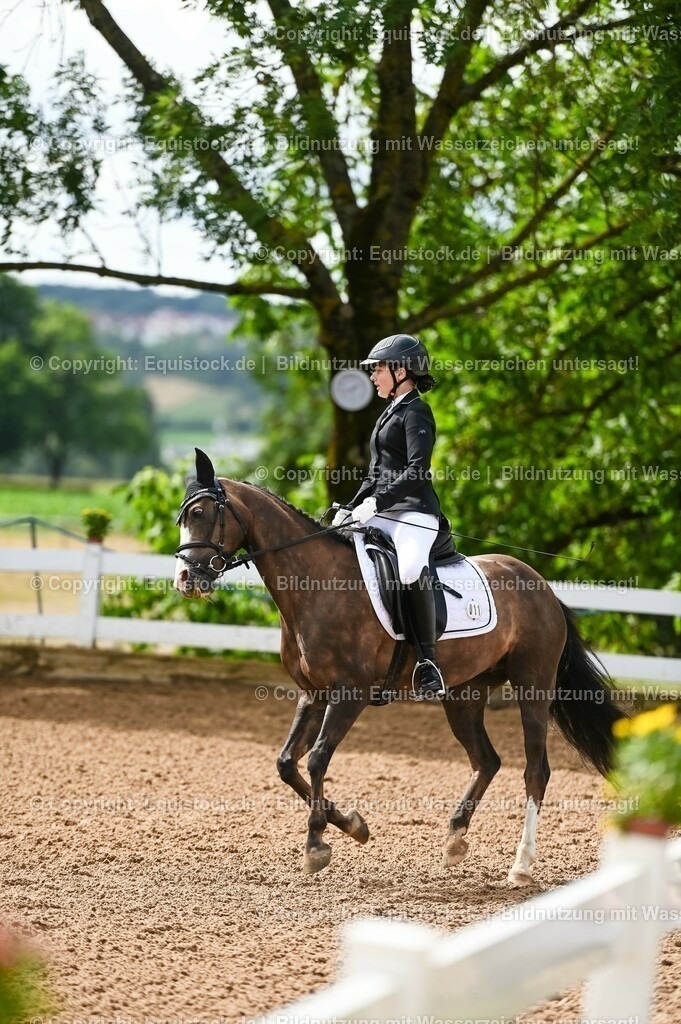 20230716_10-1_Reiter-WB Schritt - Trab - Galopp_0195 | equistock
