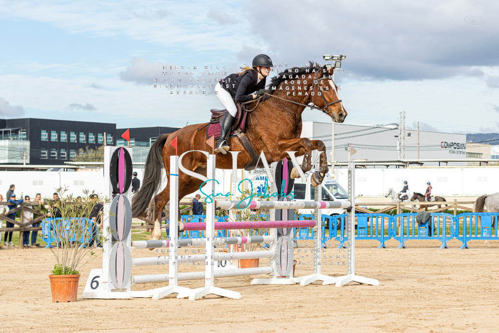 IMG_2479 | s-jay-photography - Realisiert mit Pictrs.com