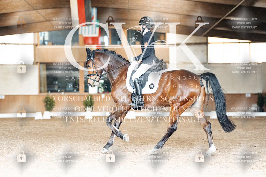 CK902021 | Turnierfotografie Pferdefotografie Trier Rheinland-Pfalz Pferdesport Reitsport Tierfotografie Sportfotografie Pferdevideo Pferdevideografie Equestrianvideography equestrianphotography  - Realisiert mit Pictrs.com