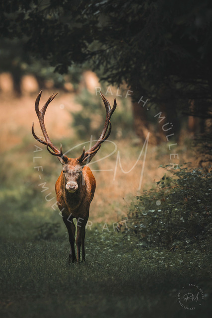 BD1EC76D-205E-4468-9BD9-C27DE6BF3113 | Fine Art Print, Druck, Großformatdruck, Leinwand, Alu-Dibond, Kunstdruck, Kalender, Ulm, Schwaben, Architektur, Namibia, Landschaft - Realisiert mit Pictrs.com