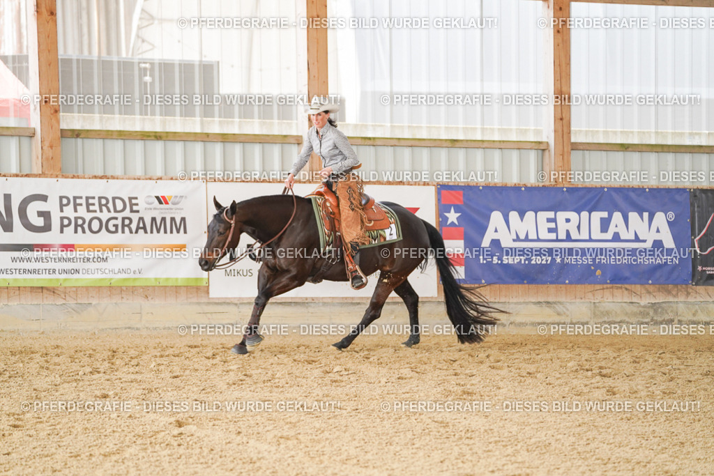 DSC02197 | Pferdegrafie