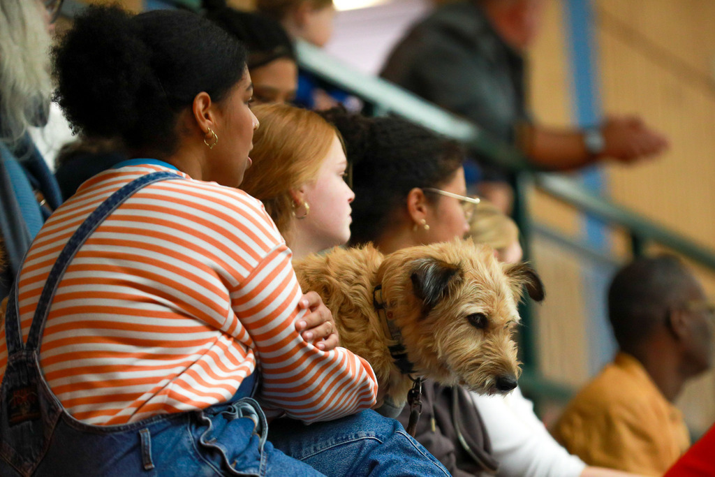 SVN_SvSchermbeck_051024_038 | Bildergalerie von Sport-Ereignissen aber auch von weiteren spannenden Dingen - nicht nur vom Niederrhein. In Anlehnung an den bekannten Spruch von Hanns Dieter Hüsch heißt das Motto: "Niederrhein ist überall".  - Realisiert mit Pictrs.com