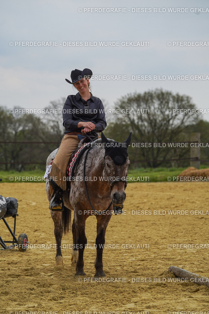 DSC07854 | Pferdegrafie