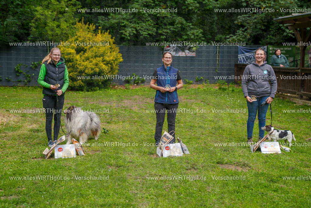 @allesWIRTHgut_Tierfotografie - www.allesWIRTHgut.de - 114630-7R508514 | Professionelle Tierfotografie in Mönchengladbach von Daniel Wirth (allesWIRTHgut). Liebevolle & natürliche Bilder von Hunden & Katzen für unvergessliche Erinnerungen.