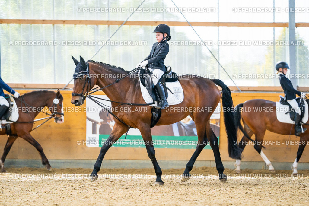 DSC01067 | Pferdegrafie