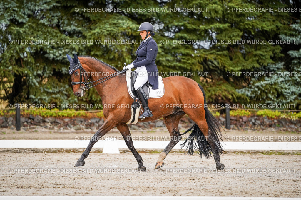 DSC09651 | Pferdegrafie