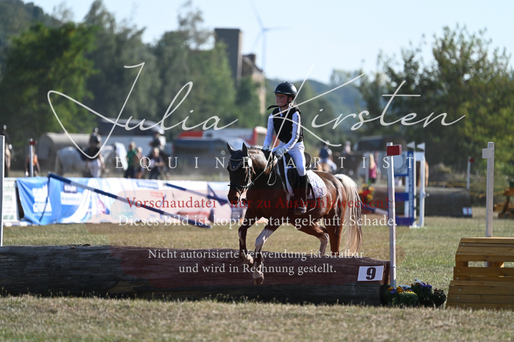 DSC_8989 | Pferde- und Turnierfotografie in Westsachsen. Pferdeportraits, Auftragszeichnungen und intuitive Kunst.