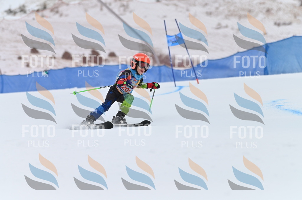 BGV_1936 | holidayphoto