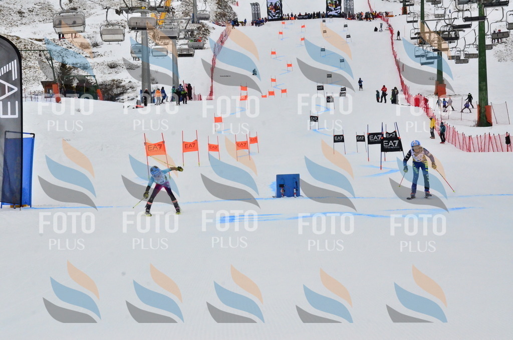 _ELE3624 | holidayphoto