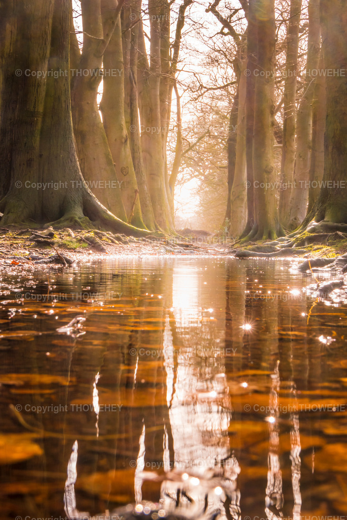 _2750028 | thowehey - Realisiert mit Pictrs.com