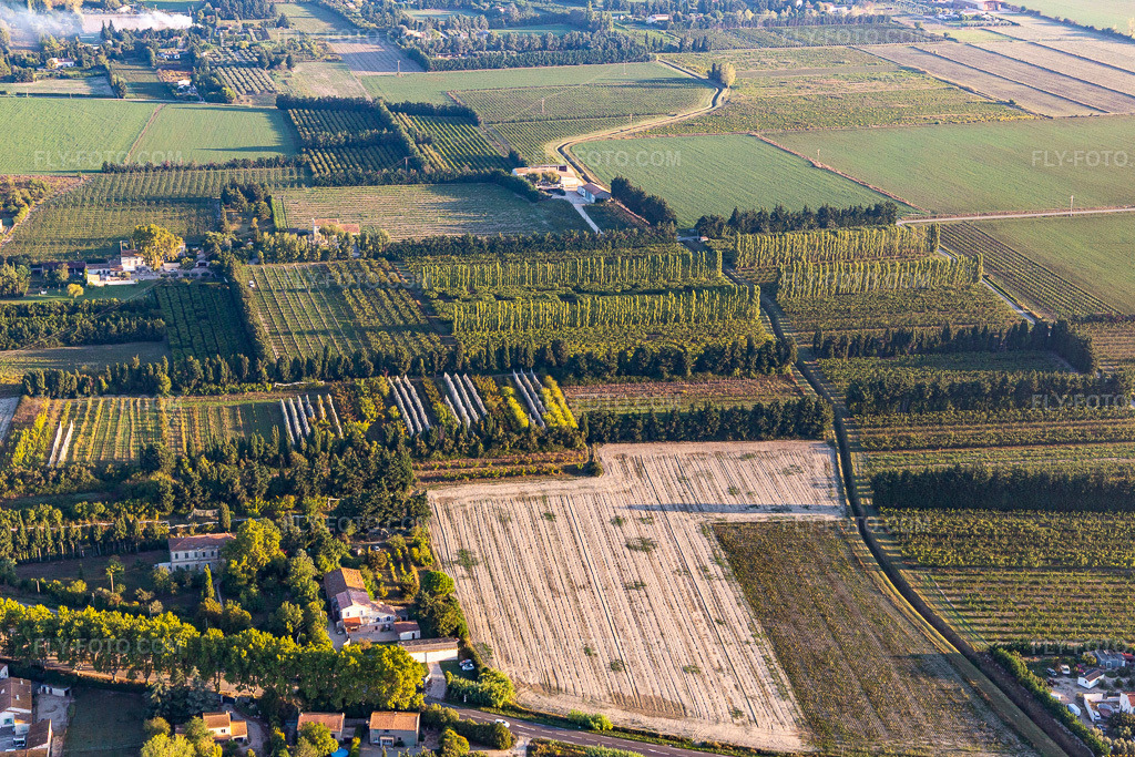 Aerial view: Plantations sheltered from the wind in the district Zone Nord-Est Urbaine in Tarascon in the state Bouches du Rhone, France.Photo: IMG_129577.jpg taken on 09/23/2021 by Werner Riehm/FLY-FOTO.comResolution of the original: 5472 x 3648 px