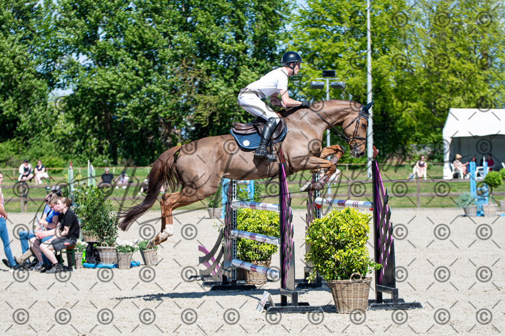 KPT_1030 | andre_photographic