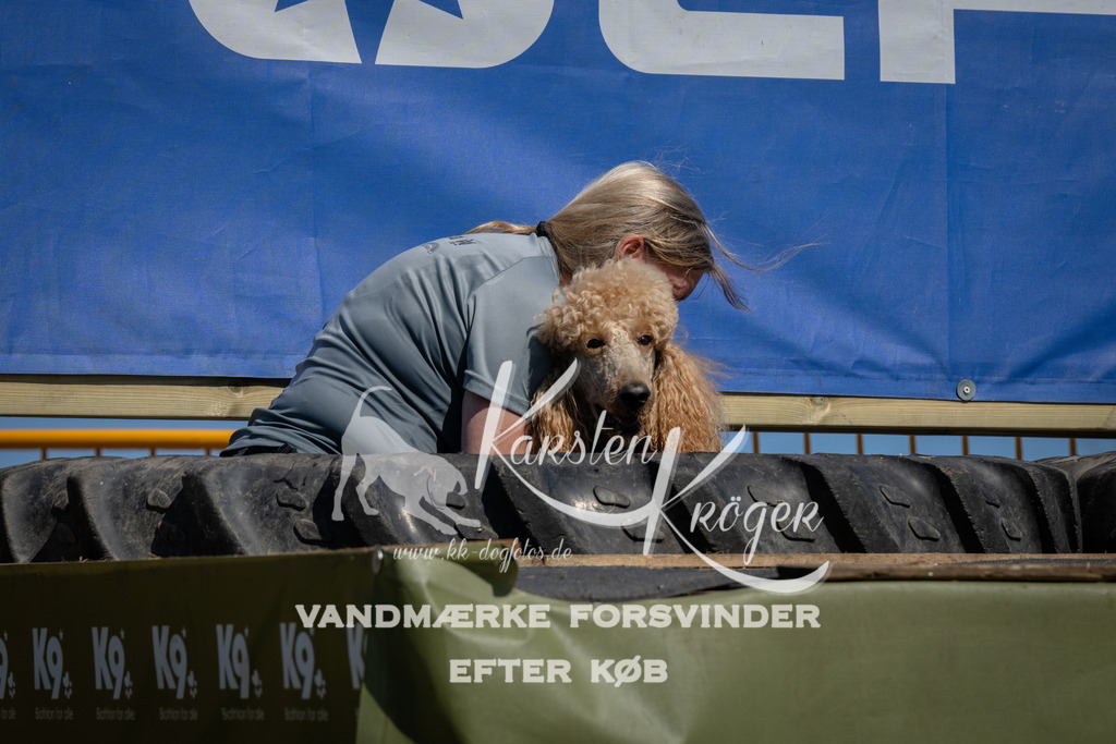 1248_ZZ96703 | kk-dogfotos