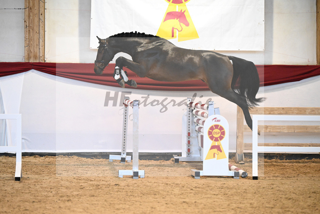 Kat-Nr. 23 Diacontinus x Luke Mc Donald_Stieglmaier_47241127 | hf-fotografie - Realizzato con Pictrs.com