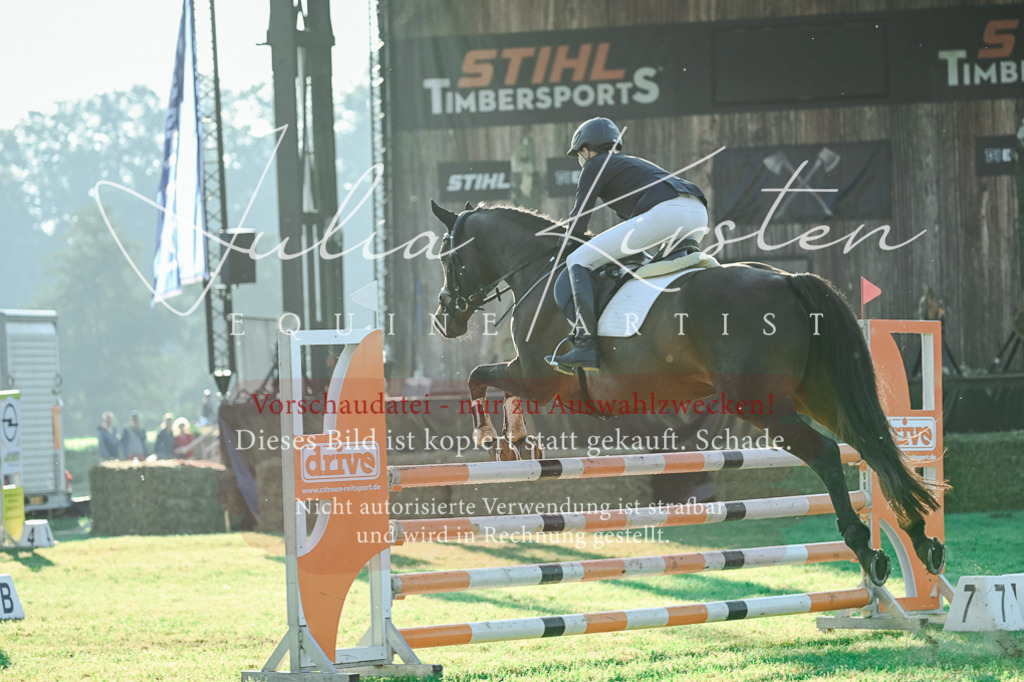 DSC_4191 | Pferde- und Turnierfotografie in Westsachsen. Pferdeportraits, Auftragszeichnungen und intuitive Kunst.